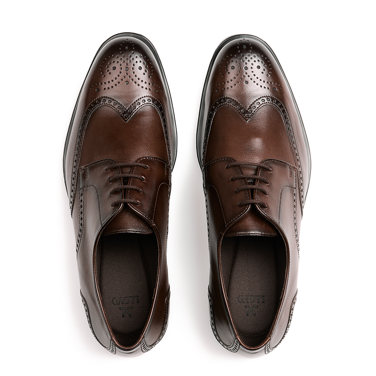 良品✨Lloyd Footwear ホールカット ブラウン UK8.5 革靴 Lloyd 25-521-07 EEZY 140W Lace-up shoes in brown buy online