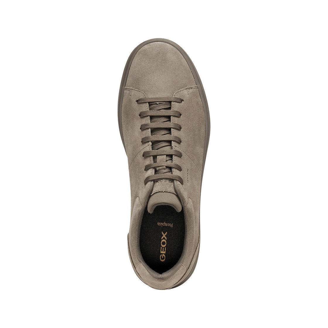 Geox BALTMOORE - Brown - Sole
