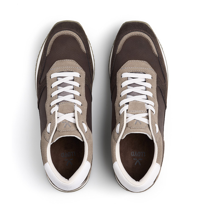 Lloyd SWIFT - Brown / Gray - Sole