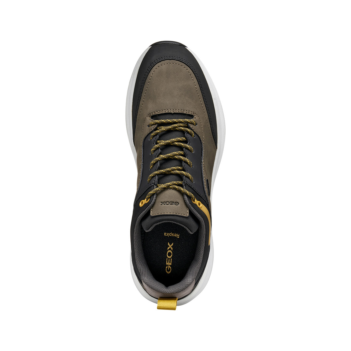 Geox SENALES - Brown - Sole