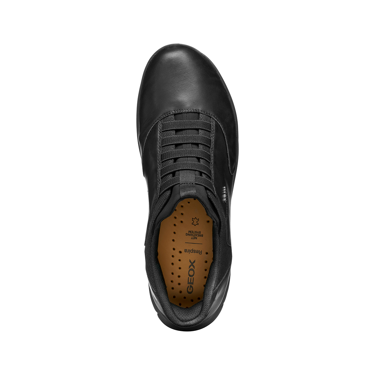 GEOX NEBULA 2.0 PLUS Sneakers in black buy online