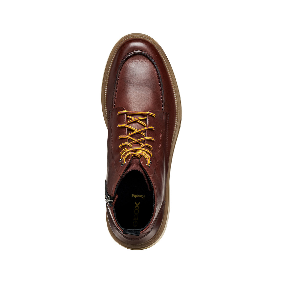 Geox POVE - Brown - Sole