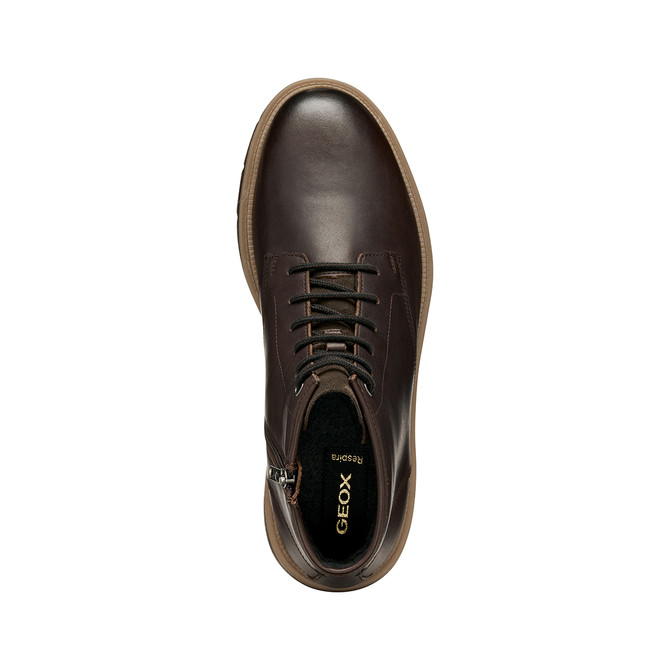 Geox POVE - Brown, dark - Sole