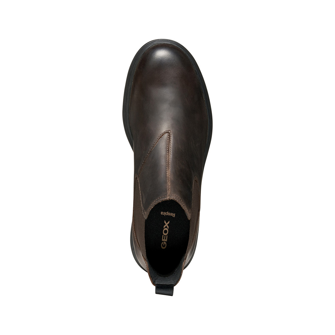 Geox MEIERN - Brown - Sole