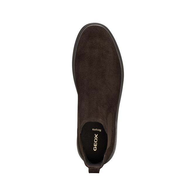 Geox MASSIMIANO - Brown - Sole