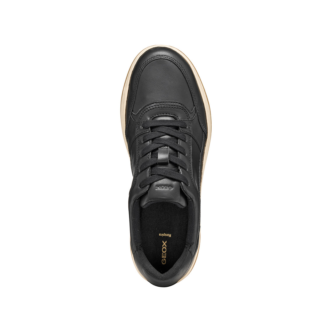 Geox SEDRAL COURT - Black - Sole