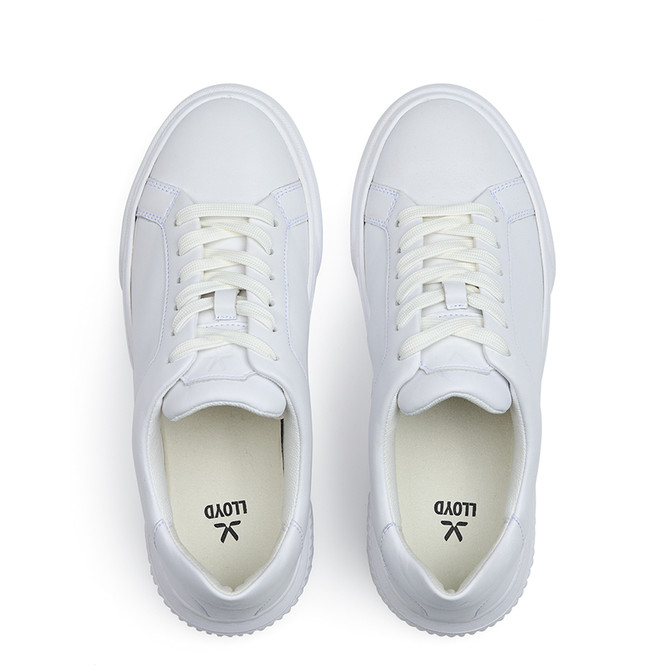Lloyd GRACE - White - Sole