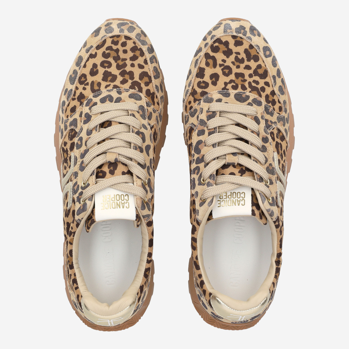 Candice Cooper PLUME 5 - Brown / Leo look - Sole