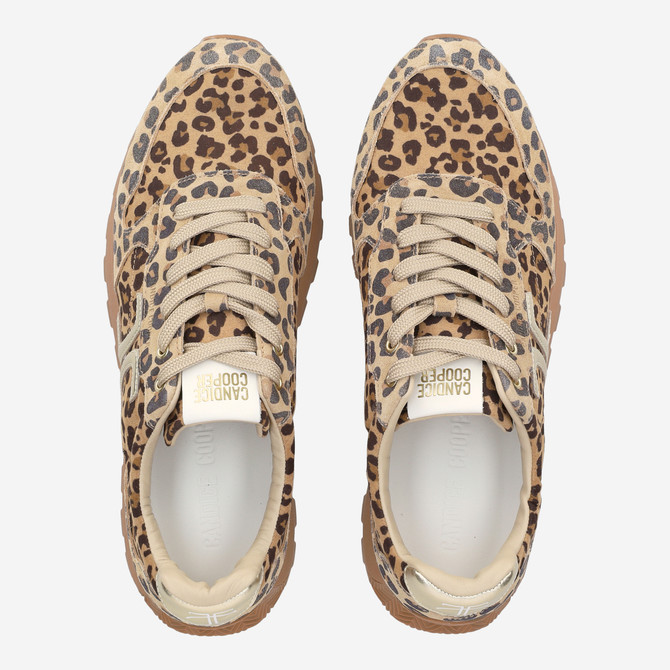 Candice Cooper PLUME 5 - Brown / Leo look - Sole