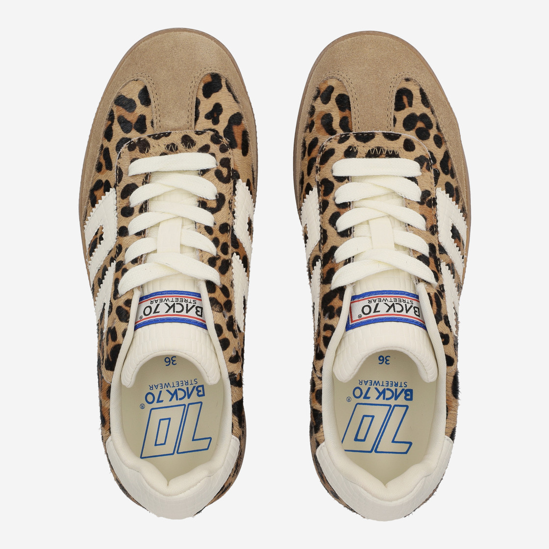 adidas gazelle silver green womens Back 70 CLOUD LEOPARD Shoe Main & Taylor Shoes main image 0