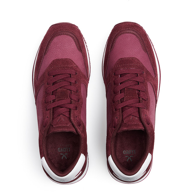 Lloyd SWIFT - Red (Bordeaux) / White - Sole