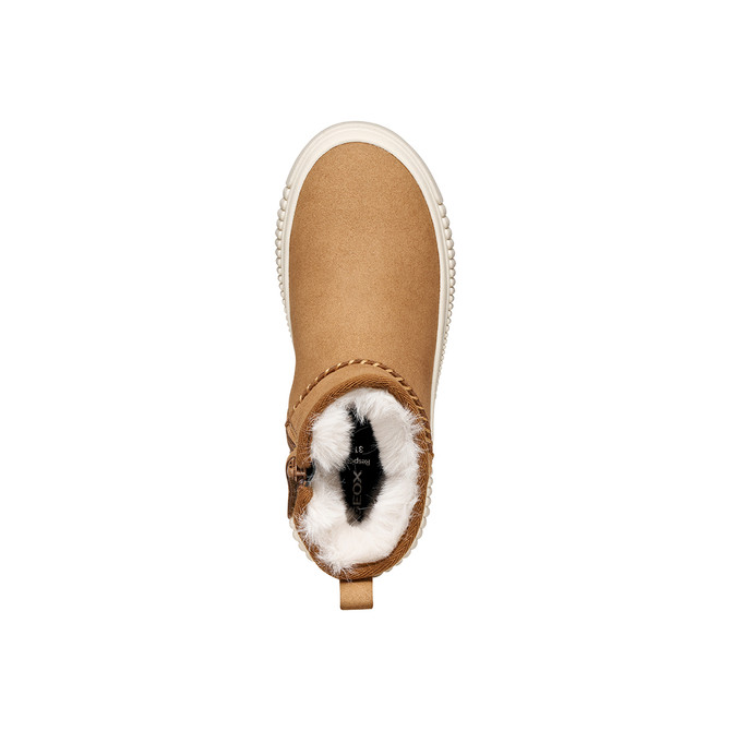 Geox LAQUINNY - Brown - Sole