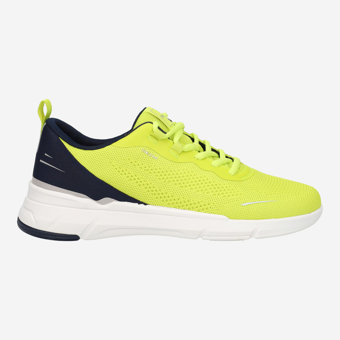 Geox VITTOUR - Yellow - Rear view