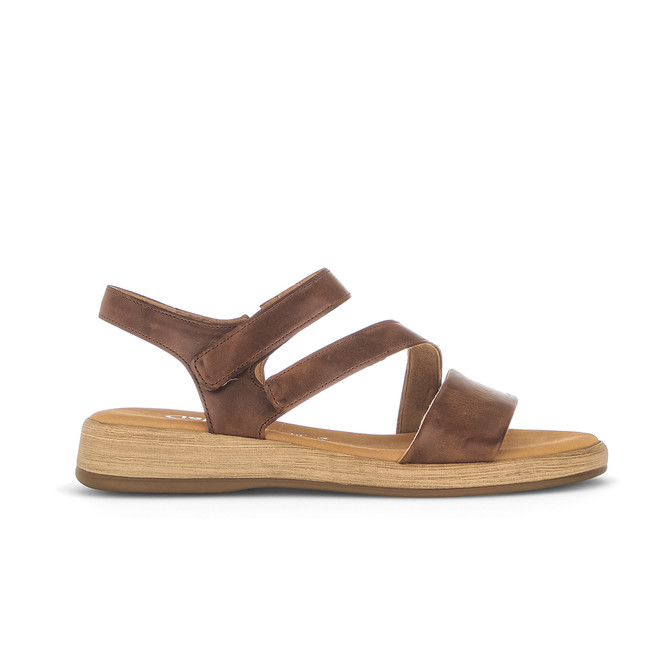 Gabor 2.733 - Brown - Back view