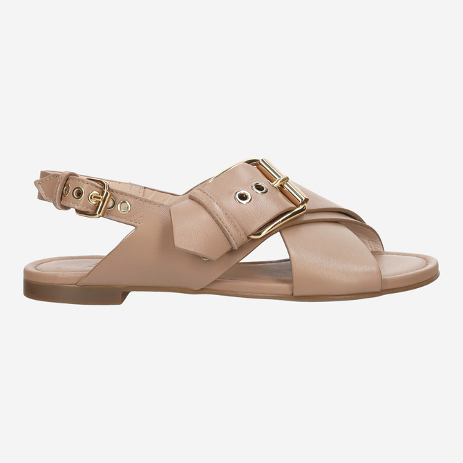 Attilio Giusti SUMMER CRISS CROSS - Brown - Back view