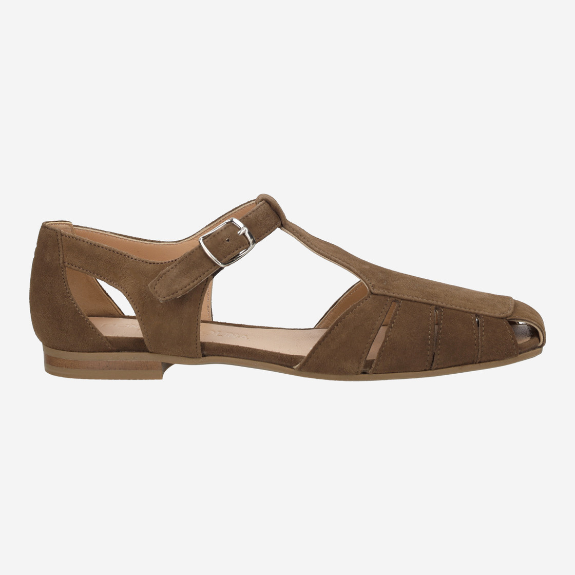 Donna Carolina ALGI WEB - Brown - Back view