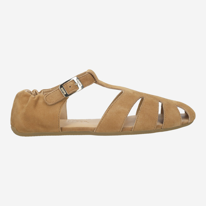 Candice Cooper DANDY T-BAR - Brown - Back view