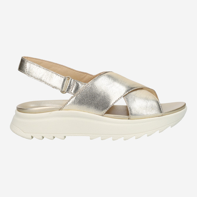 Clarks DashLite Wish - Gold - Back view