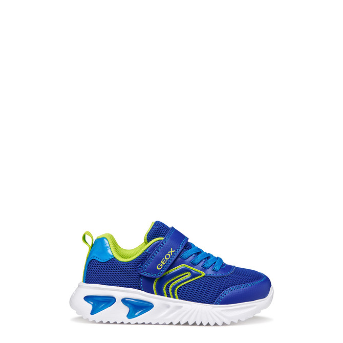 Geox ASSISTER - Blue, combined - Back view