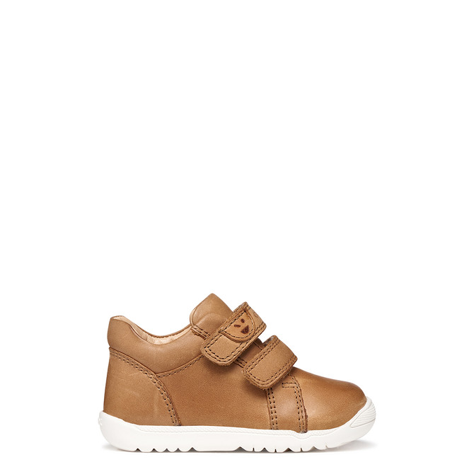 Geox MACCHIA - Brown - Back view