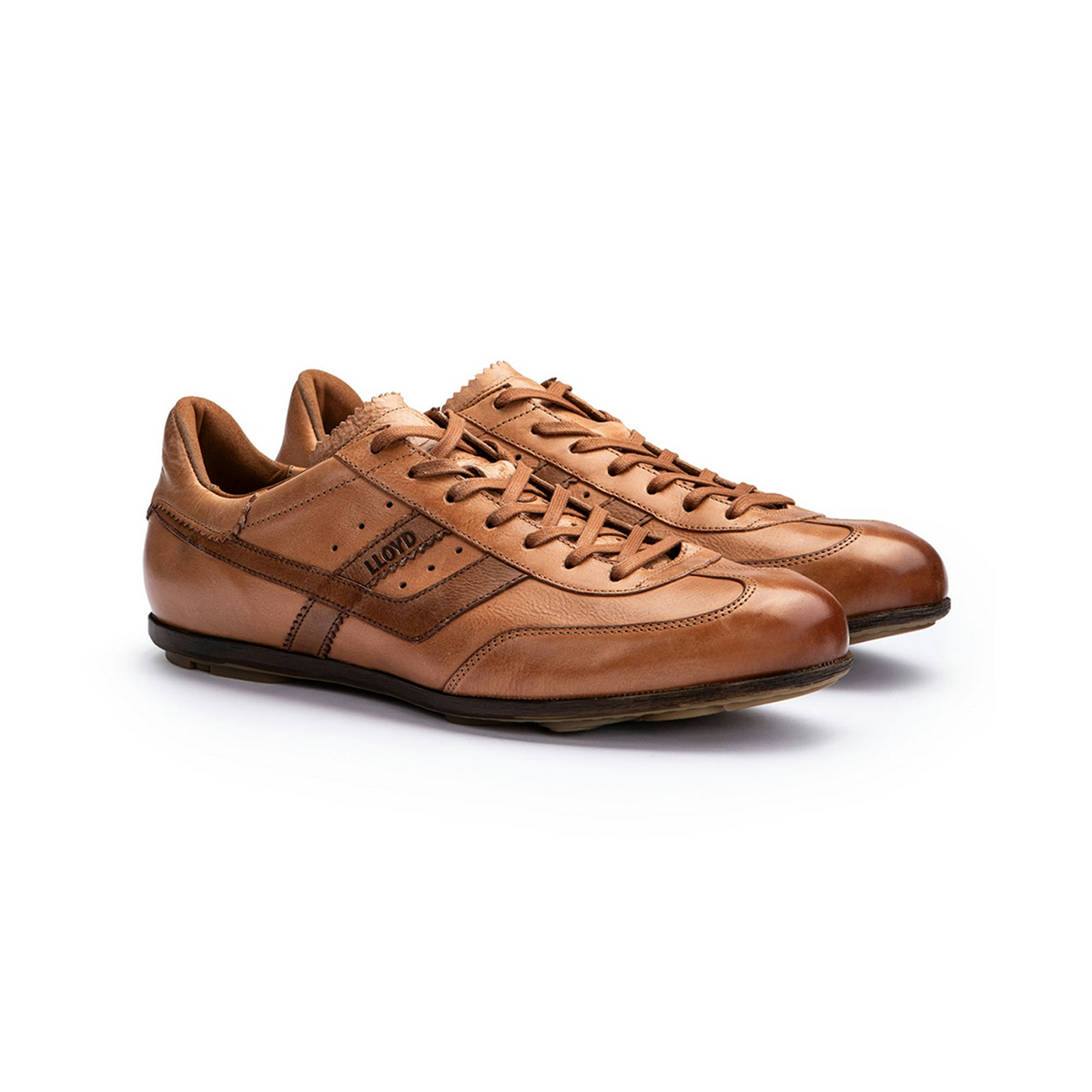 Lloyd 16-039-53 VAULT Sneakers in brown buy online
