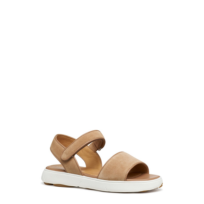 Geox NEBULA - Brown - Front view