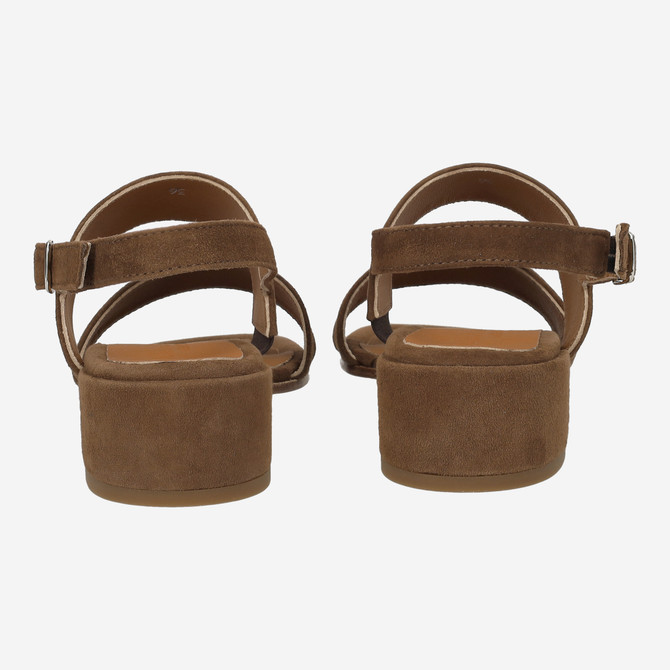 Donna Carolina LIDO ELEN - Brown - Side view