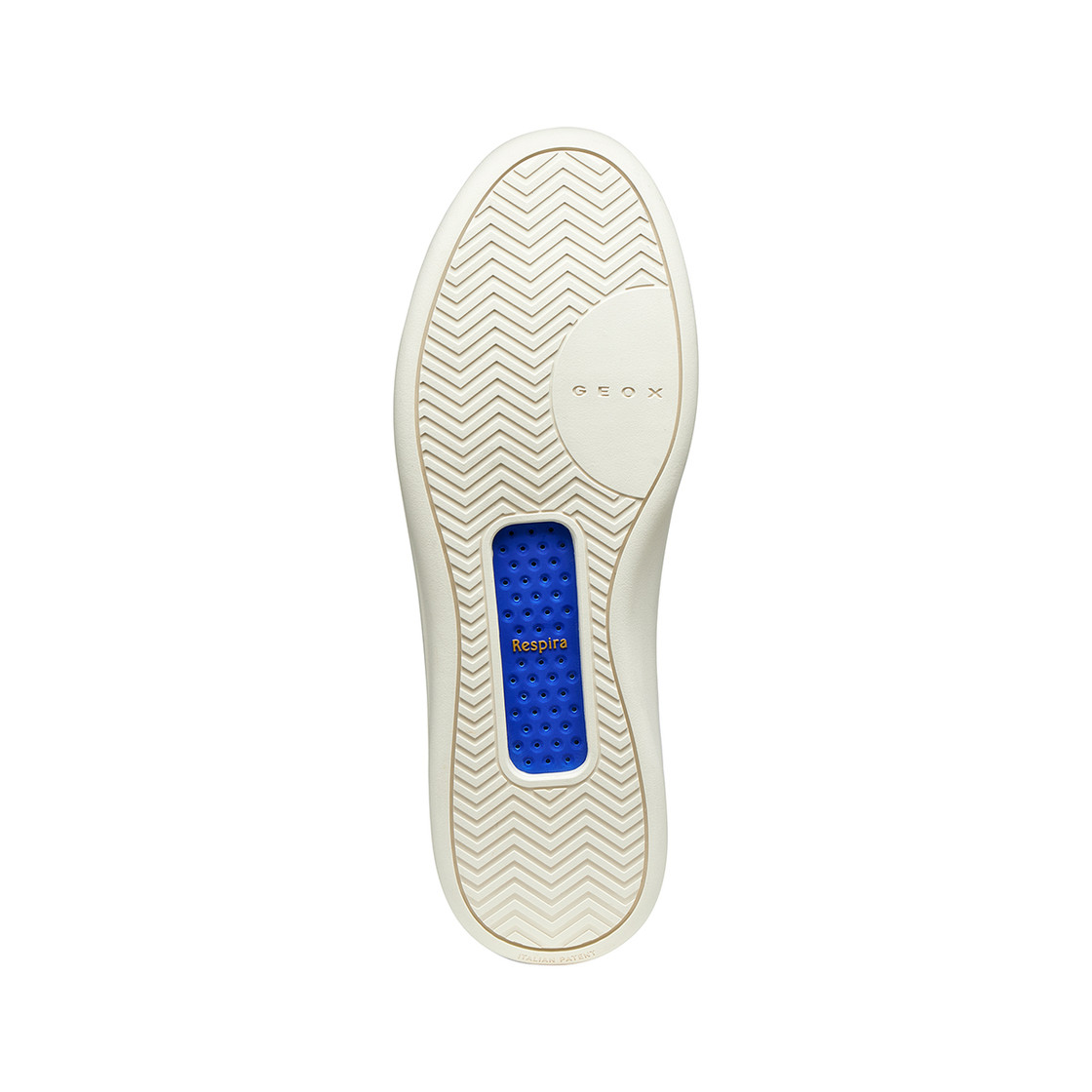 Geox GXCP-01 - Black - Top view