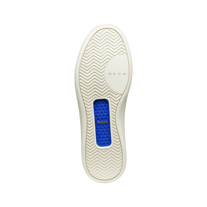 Geox GXCP-01 - Black - Top view
