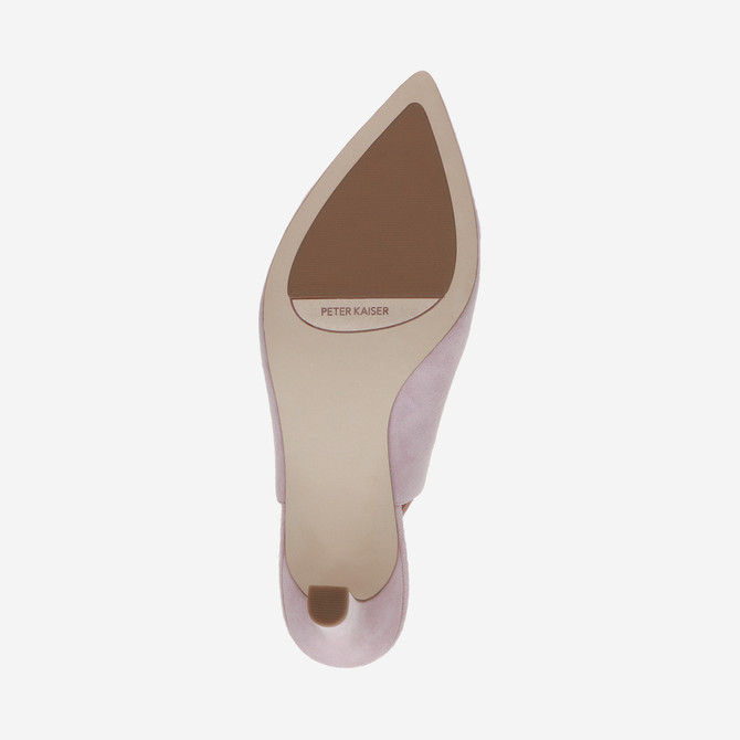  79640 - Rose - Top view