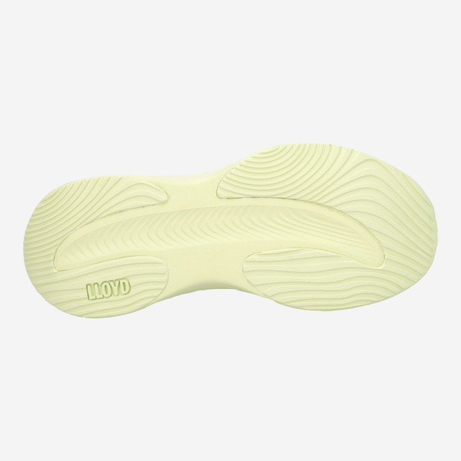 Lloyd DASH ERA - Green - Top view