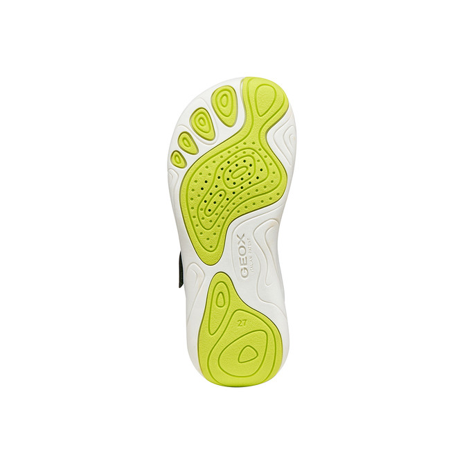 Geox FOOT-RUN - Green - Top view