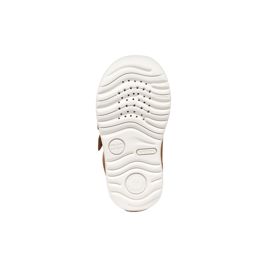Geox MACCHIA - Brown - Top view