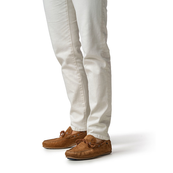 Floris van Bommel De Drijver - Brown - Special image