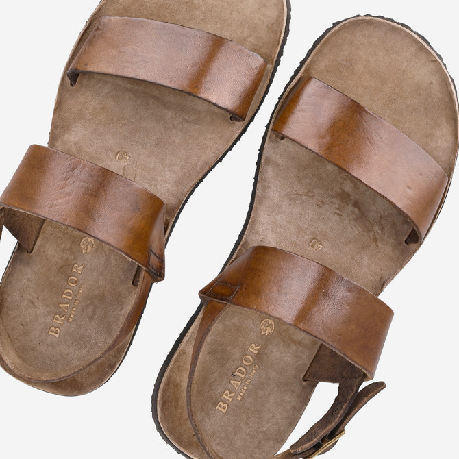 Eurotop&Brador 98-300 - Braun - Sonderbild