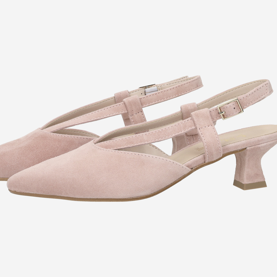 Lüke Marton AIDA - Rose - Special picture