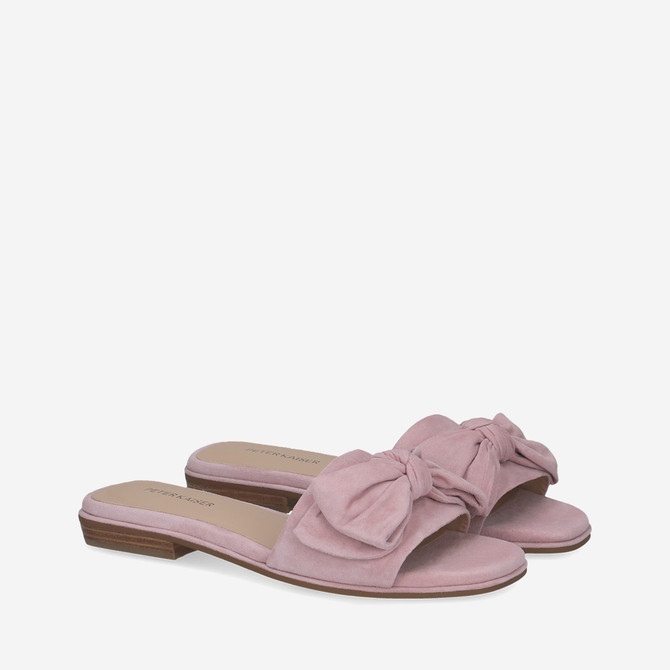  77104 - Rose - Special picture