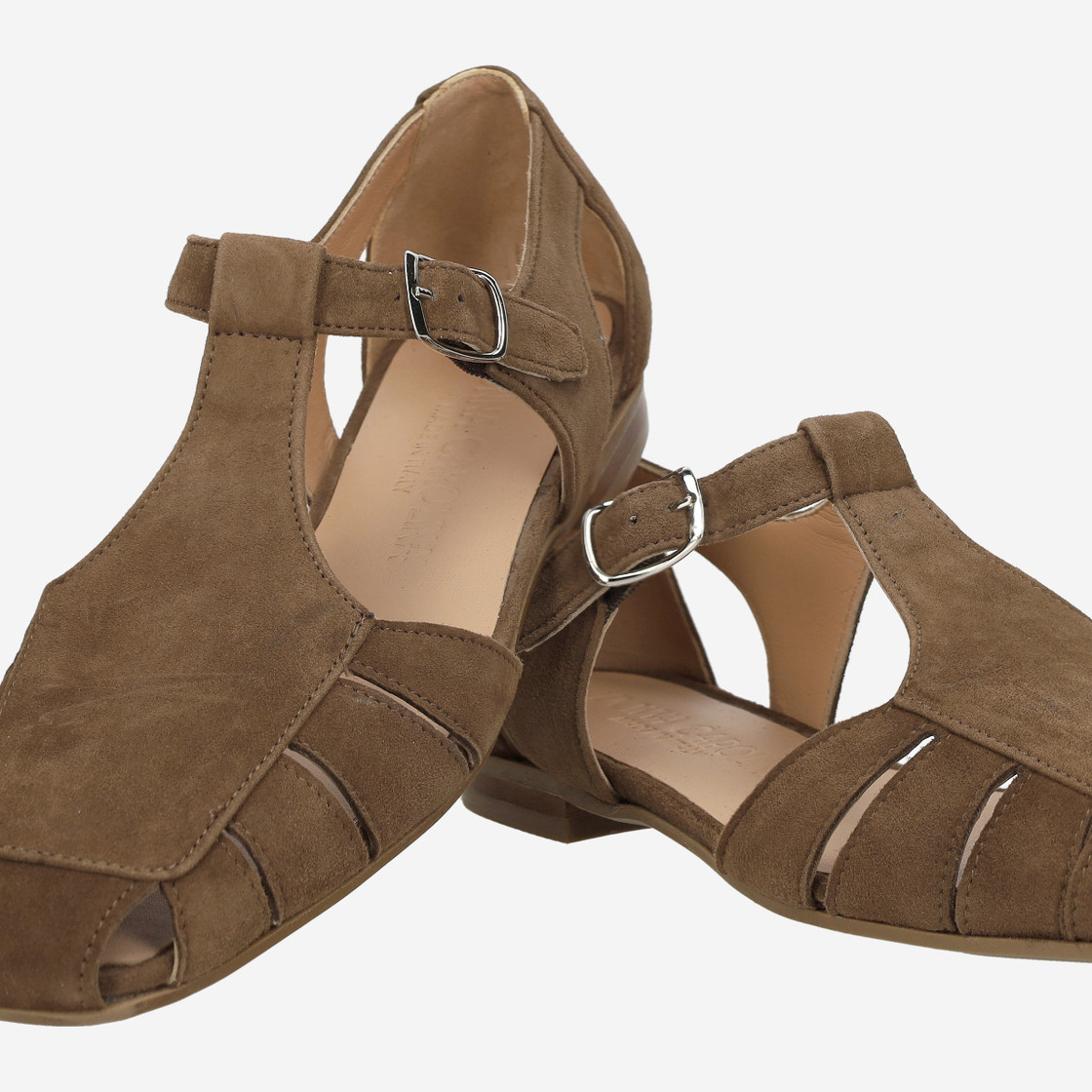 Donna Carolina ALGI WEB - Brown - Special image