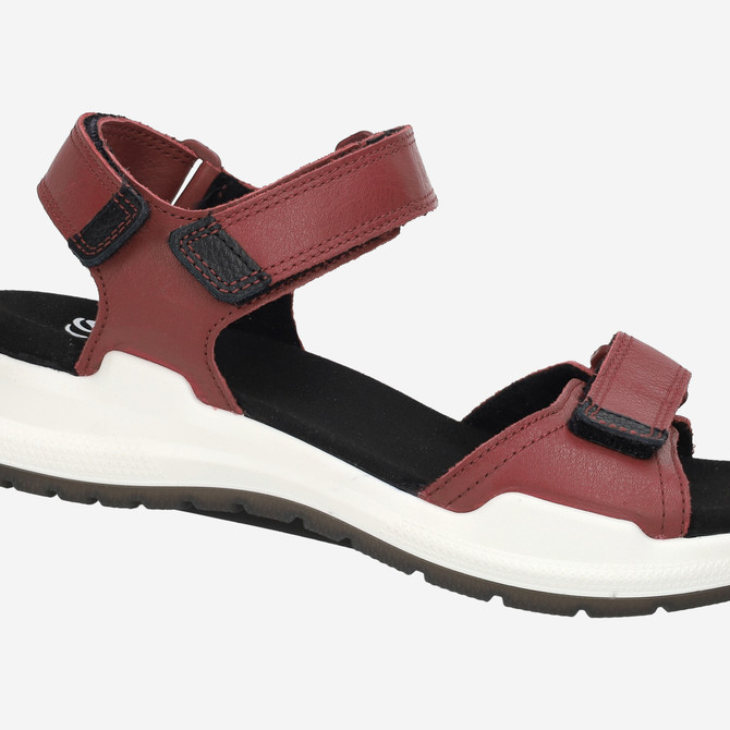 Ara MOTION-S - Red - Special image