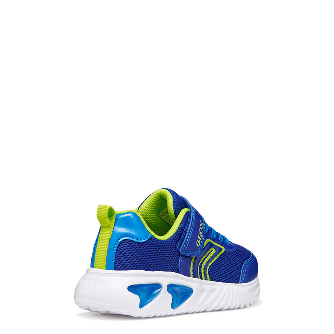 Geox ASSISTER - Blue, combined - special image