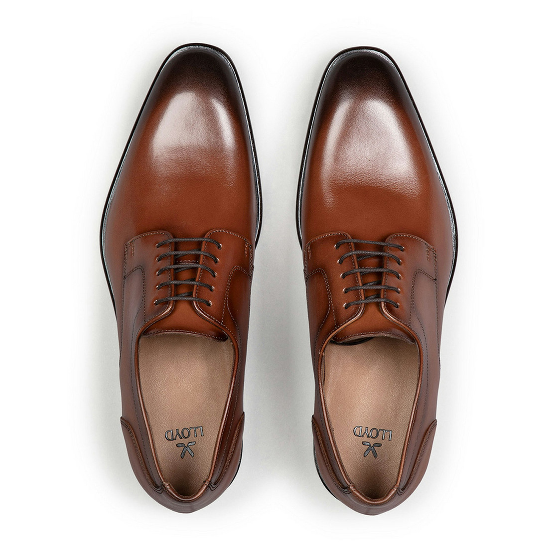 Lloyd LENO 110 - Brown - Sole