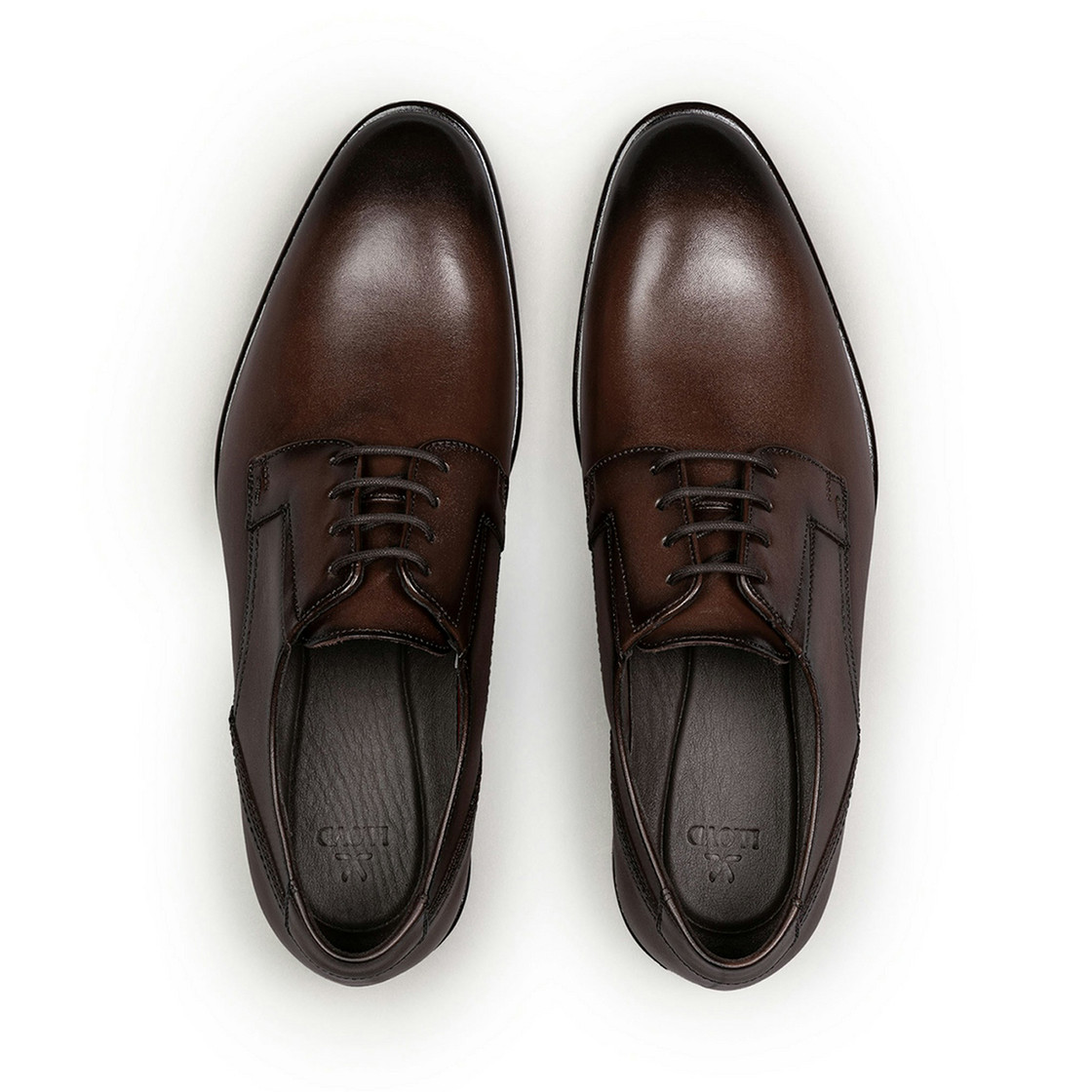 Lloyd LENO 110W - Brown - Sole