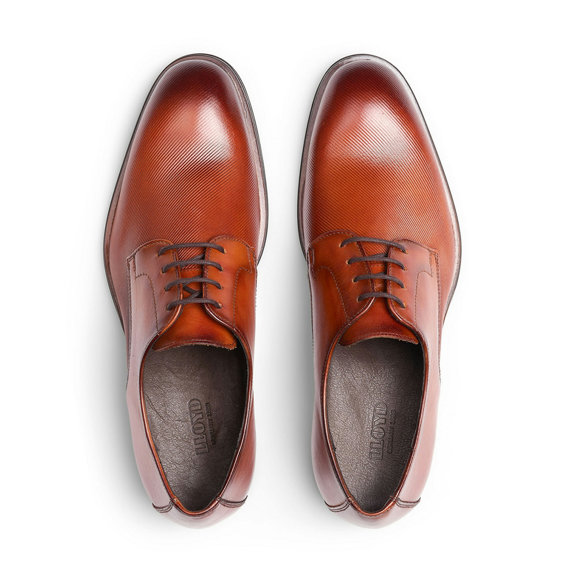 Lloyd 15-221-05 - Brown - Sole
