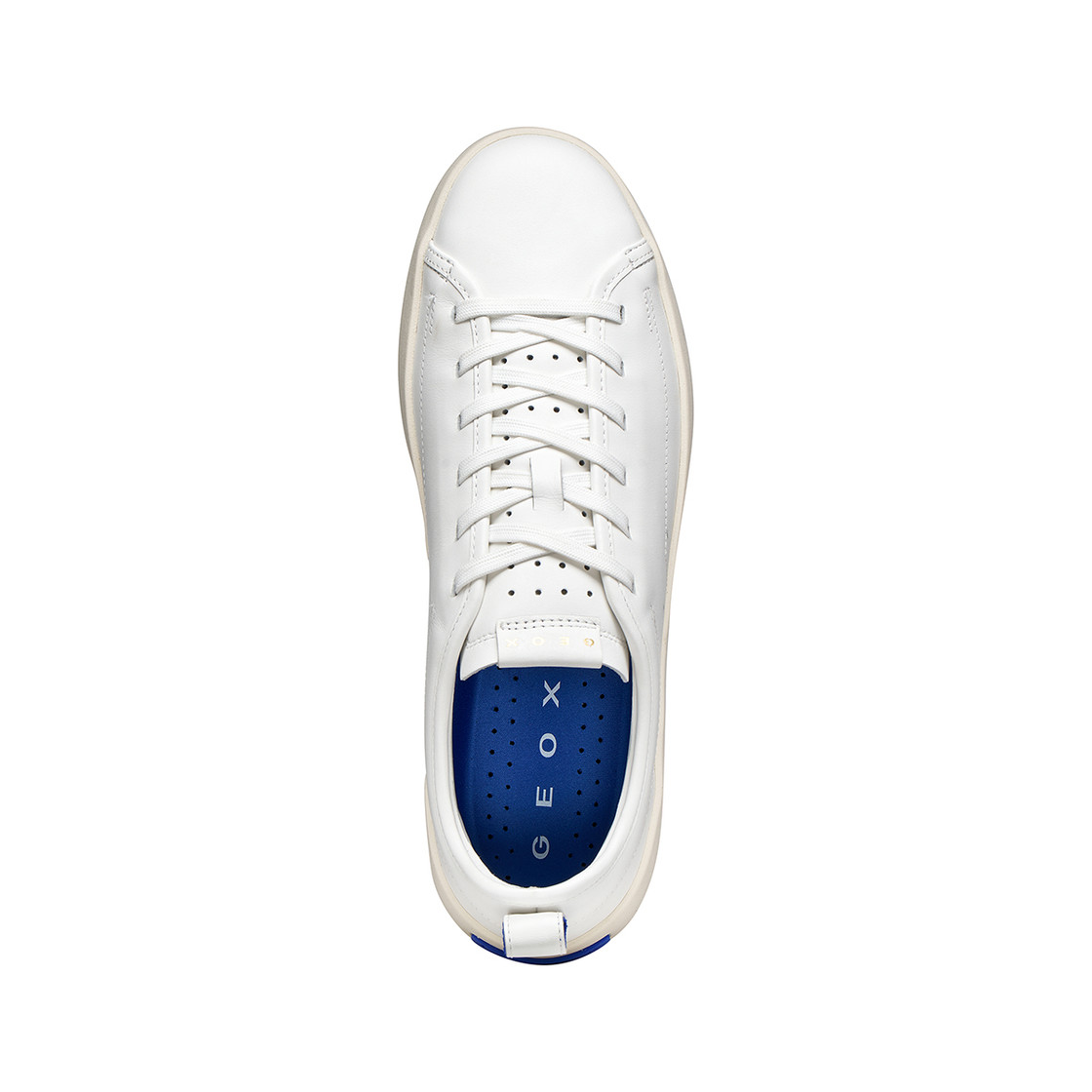 Geox GXCP-01 - White - Sole