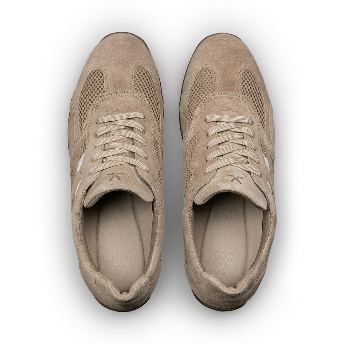 Lloyd PHASE - Beige - Sole