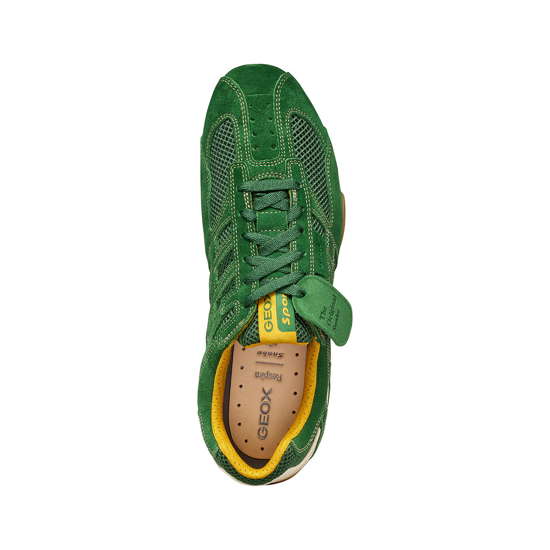 Geox SNAKE - Green - Sole