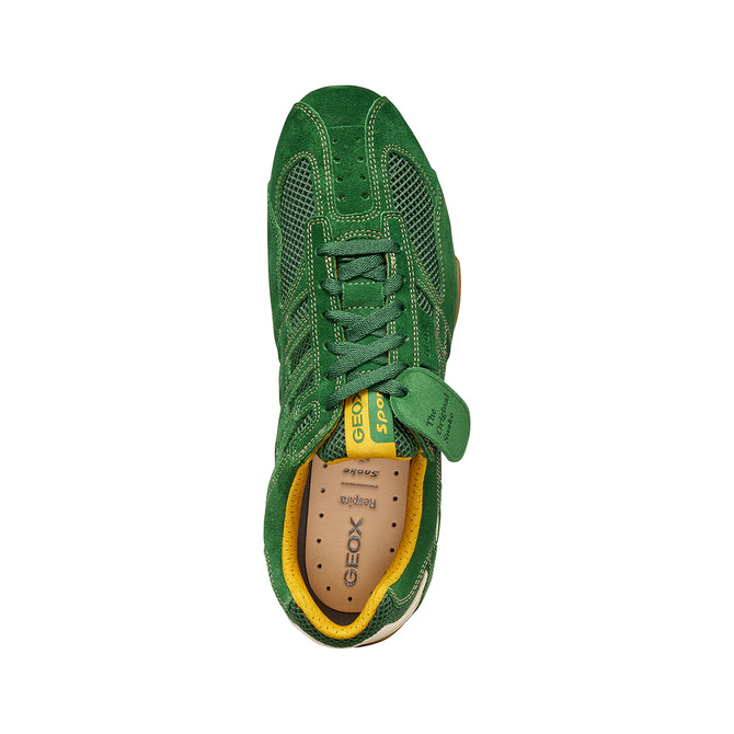 Geox SNAKE - Green - Sole
