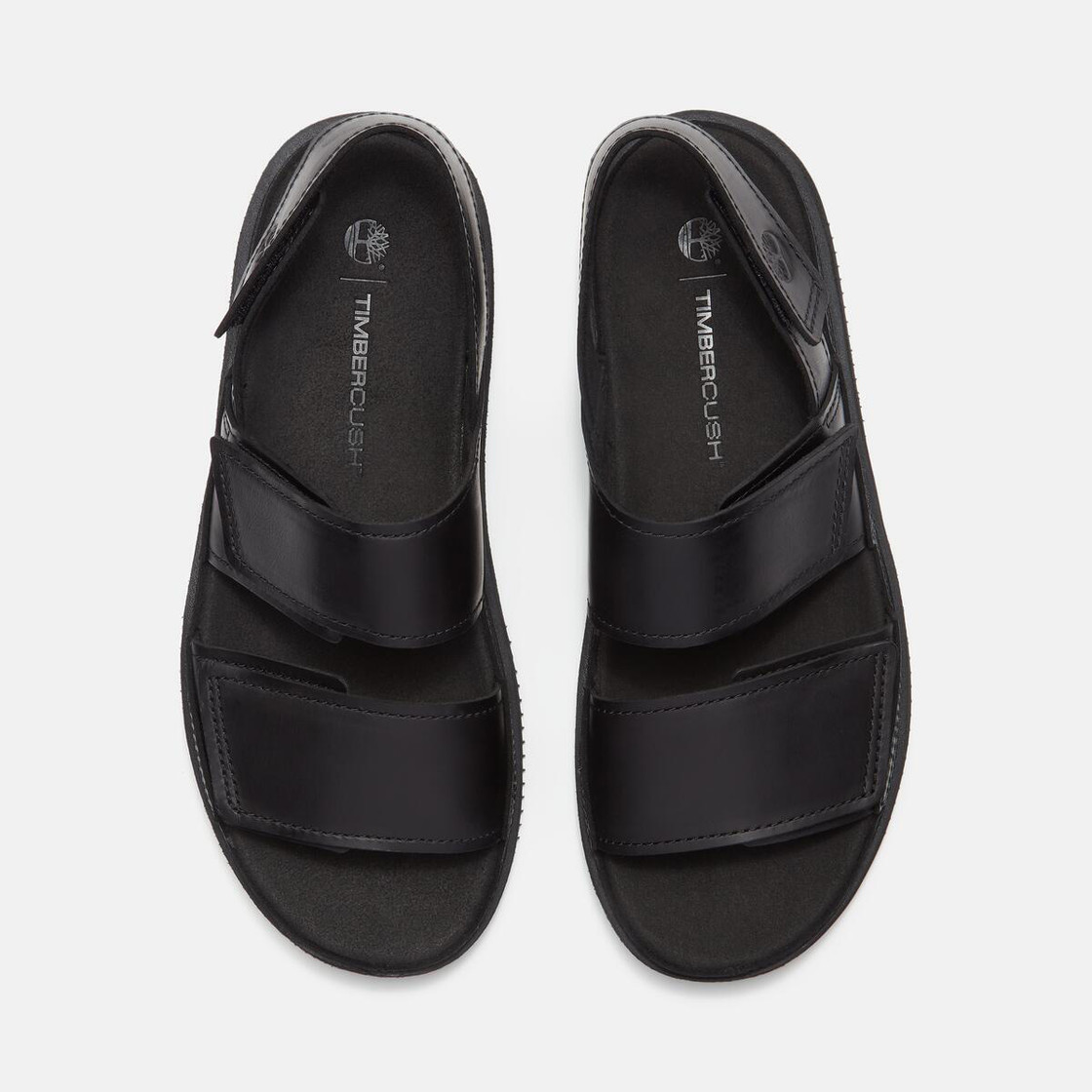 Timberland A26X8 CASCO COVE - Black - Sole