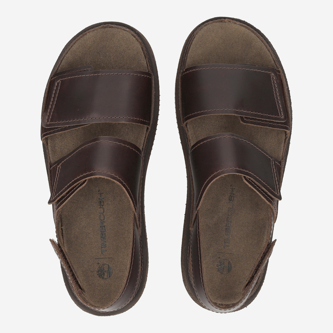 Timberland A26X8 CASCO COVE BACKSTRAP SAN - Brown - Sole