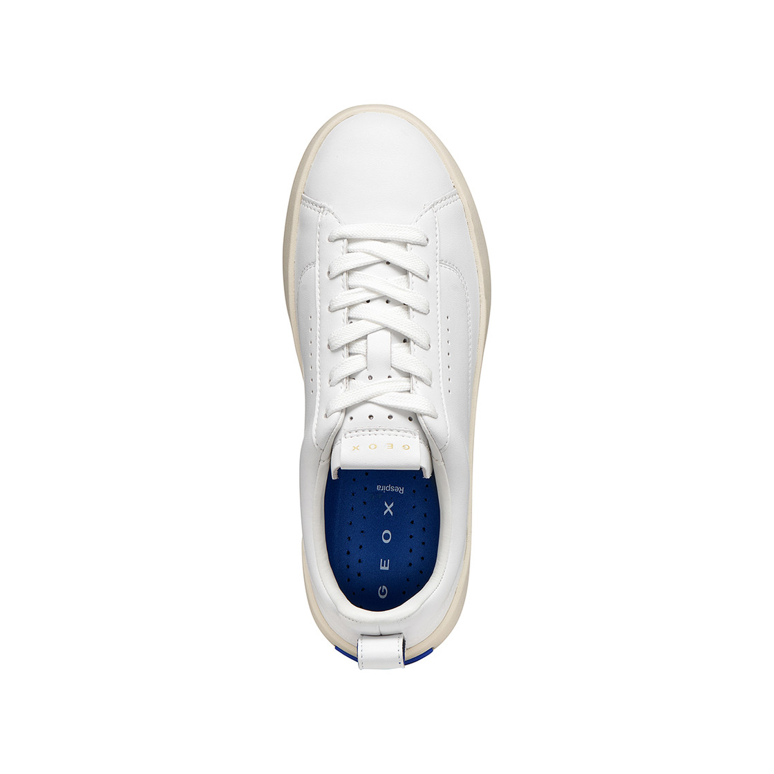 Geox GXCP-01 - White - Sole